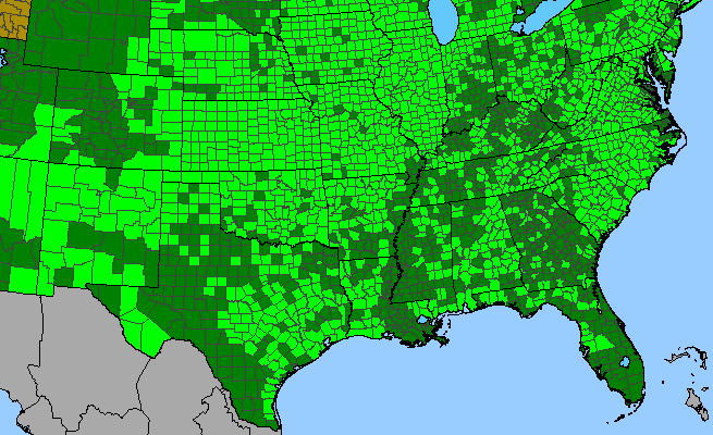 The range of Sorghastrum nutans